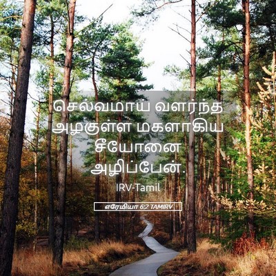 Picture 05 - எரேமியா 6:2 TAMIRV - செல்வமாய் வளர்ந்த - Bible Verse Picture