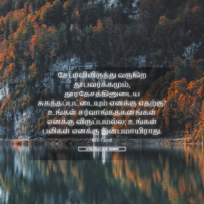 Picture 05 - எரேமியா 6:20 TAMIRV - சேபாவிலிருந்து - Bible Verse Picture