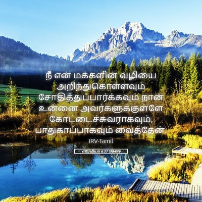 Picture 05 - எரேமியா 6:27 TAMIRV - நீ என் மக்களின் - Bible Verse Picture
