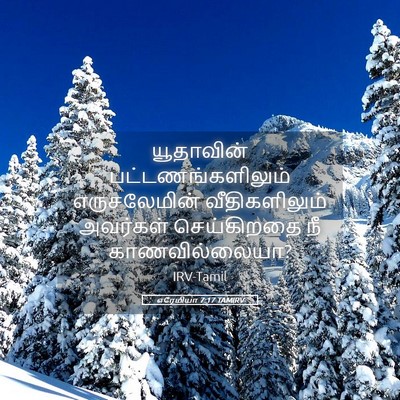 Picture 05 - எரேமியா 7:17 TAMIRV - யூதாவின் - Bible Verse Picture