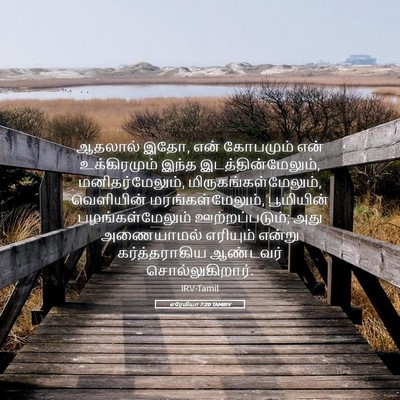 Picture 05 - எரேமியா 7:20 TAMIRV - ஆதலால் இதோ, என் - Bible Verse Picture