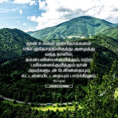 Picture 05 - எரேமியா 7:22 TAMIRV - நான் உங்கள் - Bible Verse Picture