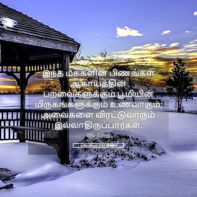 Picture 05 - எரேமியா 7:33 TAMIRV - இந்த மக்களின் - Bible Verse Picture