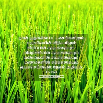 Picture 05 - எரேமியா 7:34 TAMIRV - நான் யூதாவின் - Bible Verse Picture