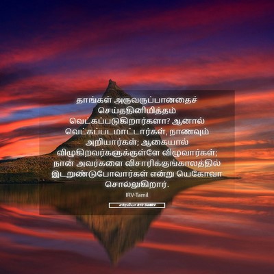 Picture 05 - எரேமியா 8:12 TAMIRV - தாங்கள் - Bible Verse Picture