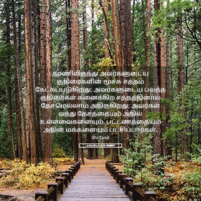 Picture 05 - எரேமியா 8:16 TAMIRV - தாணிலிருந்து - Bible Verse Picture