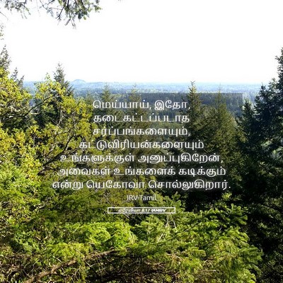 Picture 05 - எரேமியா 8:17 TAMIRV - மெய்யாய், இதோ, - Bible Verse Picture