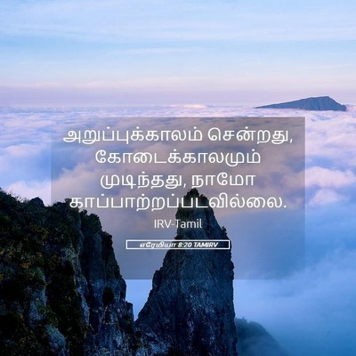 Picture 05 - எரேமியா 8:20 TAMIRV - அறுப்புக்காலம் - Bible Verse Picture