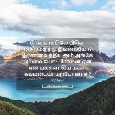 Picture 05 - எரேமியா 8:22 TAMIRV - கீலேயாத்திலே - Bible Verse Picture