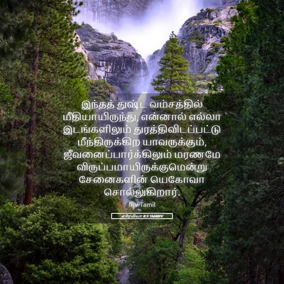 Picture 05 - எரேமியா 8:3 TAMIRV - இந்தத் துஷ்ட - Bible Verse Picture