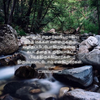 Picture 05 - எரேமியா 8:5 TAMIRV - ஆனாலும் - Bible Verse Picture