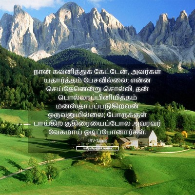 Picture 05 - எரேமியா 8:6 TAMIRV - நான் கவனித்துக் - Bible Verse Picture