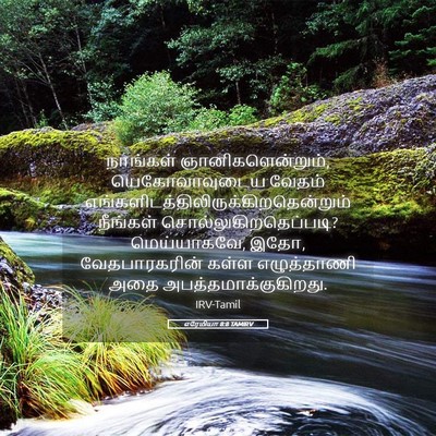 Picture 05 - எரேமியா 8:8 TAMIRV - நாங்கள் - Bible Verse Picture