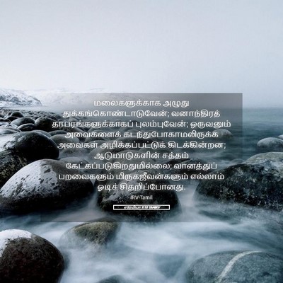 Picture 05 - எரேமியா 9:10 TAMIRV - மலைகளுக்காக அழுது - Bible Verse Picture