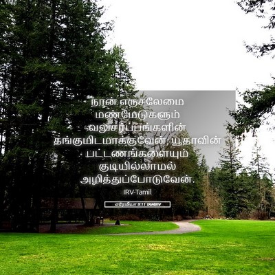 Picture 05 - எரேமியா 9:11 TAMIRV - நான் எருசலேமை - Bible Verse Picture
