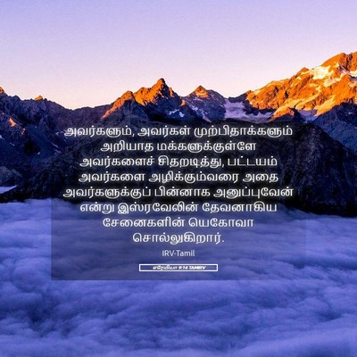 Picture 05 - எரேமியா 9:16 TAMIRV - அவர்களும், - Bible Verse Picture