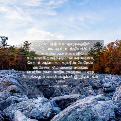 Picture 05 - எஸ்தர் 1:13 TAMIRV - அந்த சமயத்தில் - Bible Verse Picture