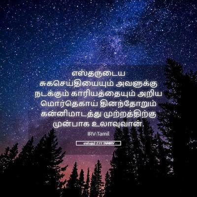 Picture 05 - எஸ்தர் 2:11 TAMIRV - எஸ்தருடைய - Bible Verse Picture