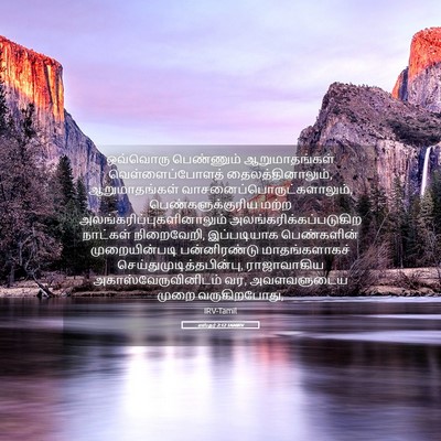 Picture 05 - எஸ்தர் 2:12 TAMIRV - ஒவ்வொரு பெண்ணும் - Bible Verse Picture