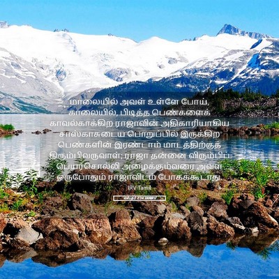 Picture 05 - எஸ்தர் 2:14 TAMIRV - மாலையில் அவள் - Bible Verse Picture