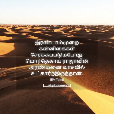 Picture 05 - எஸ்தர் 2:19 TAMIRV - இரண்டாம்முறை - Bible Verse Picture