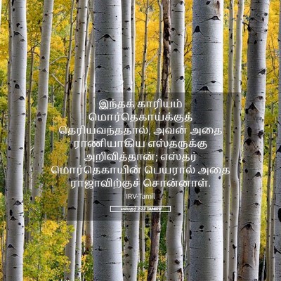 Picture 05 - எஸ்தர் 2:22 TAMIRV - இந்தக் காரியம் - Bible Verse Picture