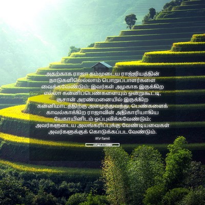 Picture 05 - எஸ்தர் 2:3 TAMIRV - அதற்காக ராஜா - Bible Verse Picture