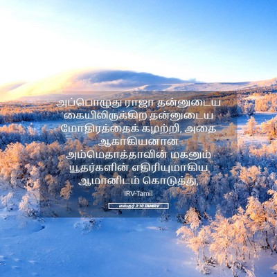 Picture 05 - எஸ்தர் 3:10 TAMIRV - அப்பொழுது ராஜா - Bible Verse Picture