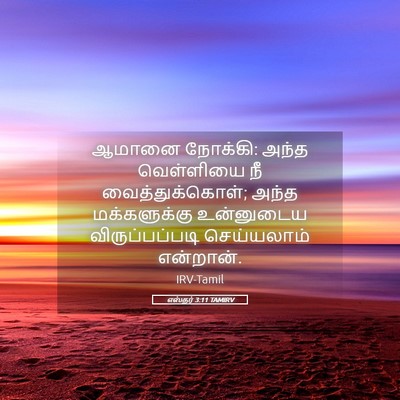 Picture 05 - எஸ்தர் 3:11 TAMIRV - ஆமானை நோக்கி: அந்த - Bible Verse Picture