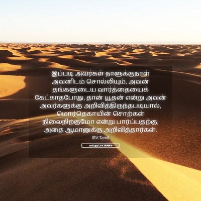 Picture 05 - எஸ்தர் 3:4 TAMIRV - இப்படி அவர்கள் - Bible Verse Picture