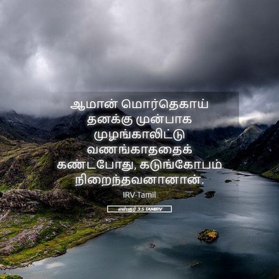 Picture 05 - எஸ்தர் 3:5 TAMIRV - ஆமான் மொர்தெகாய் - Bible Verse Picture