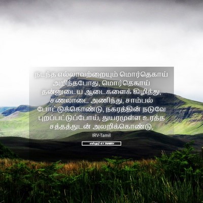 Picture 05 - எஸ்தர் 4:1 TAMIRV - நடந்த - Bible Verse Picture