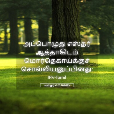Picture 05 - எஸ்தர் 4:10 TAMIRV - அப்பொழுது எஸ்தர் - Bible Verse Picture