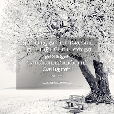 Picture 05 - எஸ்தர் 4:17 TAMIRV - அப்பொழுது - Bible Verse Picture