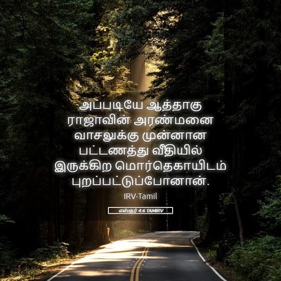 Picture 05 - எஸ்தர் 4:6 TAMIRV - அப்படியே ஆத்தாகு - Bible Verse Picture