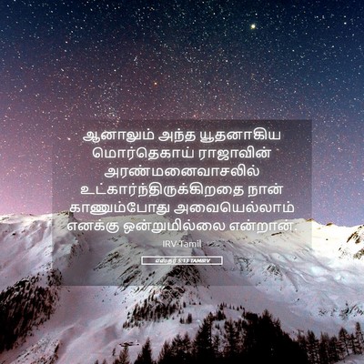 Picture 05 - எஸ்தர் 5:13 TAMIRV - ஆனாலும் அந்த - Bible Verse Picture