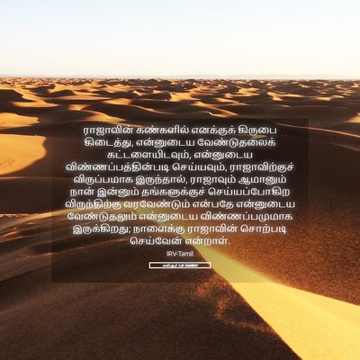 Picture 05 - எஸ்தர் 5:8 TAMIRV - ராஜாவின் கண்களில் - Bible Verse Picture