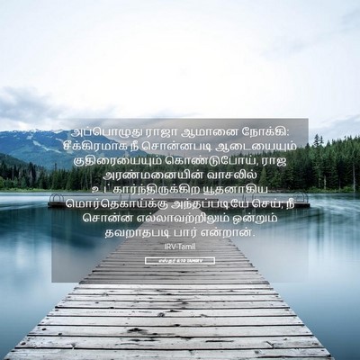 Picture 05 - எஸ்தர் 6:10 TAMIRV - அப்பொழுது ராஜா - Bible Verse Picture