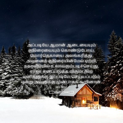 Picture 05 - எஸ்தர் 6:11 TAMIRV - அப்படியே ஆமான் - Bible Verse Picture
