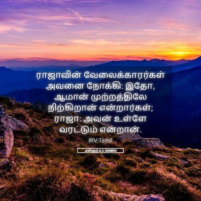Picture 05 - எஸ்தர் 6:5 TAMIRV - ராஜாவின் - Bible Verse Picture