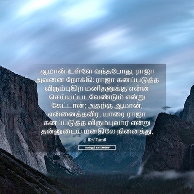 Picture 05 - எஸ்தர் 6:6 TAMIRV - ஆமான் உள்ளே - Bible Verse Picture