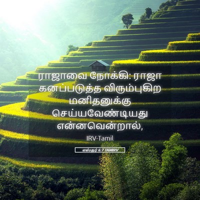 Picture 05 - எஸ்தர் 6:7 TAMIRV - ராஜாவை நோக்கி: - Bible Verse Picture