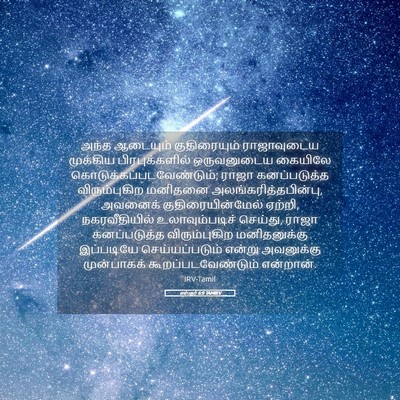 Picture 05 - எஸ்தர் 6:9 TAMIRV - அந்த ஆடையும் - Bible Verse Picture