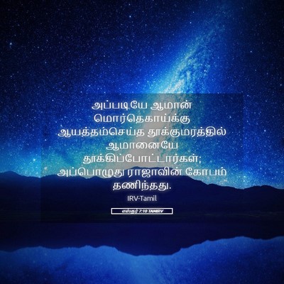 Picture 05 - எஸ்தர் 7:10 TAMIRV - அப்படியே ஆமான் - Bible Verse Picture