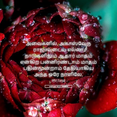 Picture 05 - எஸ்தர் 8:11 TAMIRV - அவைகளில், - Bible Verse Picture