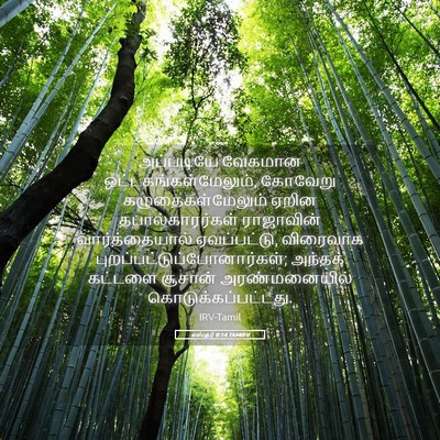 Picture 05 - எஸ்தர் 8:14 TAMIRV - அப்படியே வேகமான - Bible Verse Picture