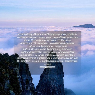 Picture 05 - எஸ்தர் 8:5 TAMIRV - ராஜாவிற்கு - Bible Verse Picture