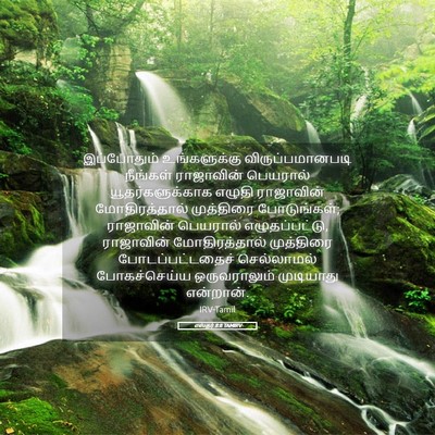 Picture 05 - எஸ்தர் 8:8 TAMIRV - இப்போதும் - Bible Verse Picture