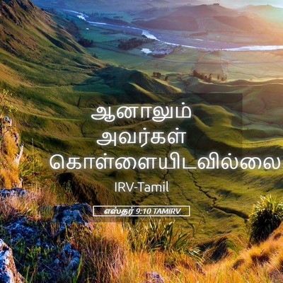 Picture 05 - எஸ்தர் 9:10 TAMIRV - ஆனாலும் அவர்கள் - Bible Verse Picture