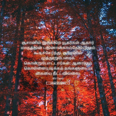 Picture 05 - எஸ்தர் 9:15 TAMIRV - சூசானில் இருக்கிற - Bible Verse Picture